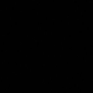 Meet your Posher, Gabriel